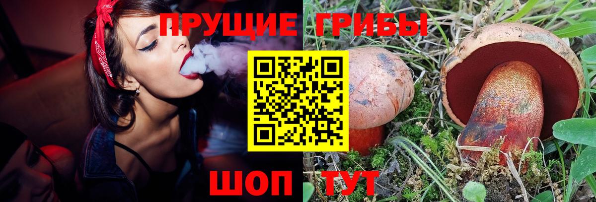Псилоцибиновые грибы прущие грибы Мыски